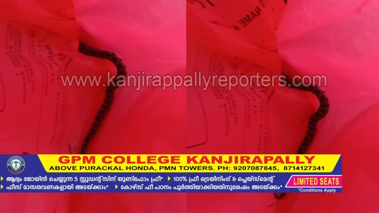 കാഞ്ഞിരപ്പള്ളി ജനറൽ ആശുപത്രിയിൽ നിന്ന് പെരുമ്പാമ്പിന്‍റെ കുഞ്ഞിനെ പിടികൂടി