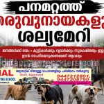 പനമറ്റത്ത് തെരുവുനായകളുടെ ശല്യം | നാട്ടുകാർ വലയുന്നു