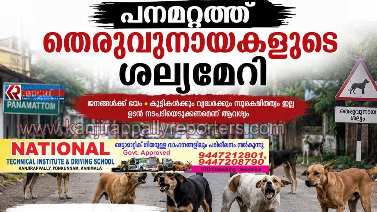 പനമറ്റത്ത് തെരുവുനായകളുടെ ശല്യം | നാട്ടുകാർ വലയുന്നു