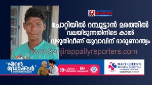 റമ്പൂട്ടാൻ മരത്തിൽ വലയിടുന്നതിനിടെ കാൽ വഴുതിവീണ് യുവാവിന് ദാരുണാന്ത്യം