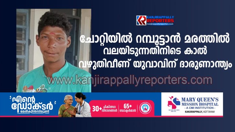 റമ്പൂട്ടാൻ മരത്തിൽ വലയിടുന്നതിനിടെ കാൽ വഴുതിവീണ് യുവാവിന് ദാരുണാന്ത്യം
