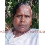 തൊഴിലുറപ്പ് തൊഴിലാളി കുഴഞ്ഞ് വീണു മരിച്ചു