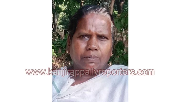 തൊഴിലുറപ്പ് തൊഴിലാളി കുഴഞ്ഞ് വീണു മരിച്ചു