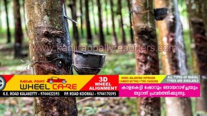 റബ്ബർ വിപണിയിൽ റെക്കോർഡ് കുതിപ്പ്: ആശ്വാസത്തിൽ കർഷകർ