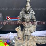 കാഞ്ഞിരപ്പള്ളി പാറത്തോട് ചിറയിൽ സുബ്രഹ്മണ്യ വിഗ്രഹം കണ്ടെത്തി
