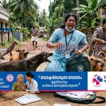 സെൻസസ് ഡ്യൂട്ടിക് പോയ അധ്യാപികക്ക് നേരെ നായയുടെ ആക്രമണം