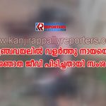 പുഞ്ചവയലിൽ വളർത്തു നായയെ അജ്ഞാത ജീവി പിടിച്ചതായി സംശയം